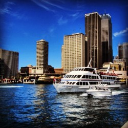 Photo of the Sydney harbor at Sydney Circular Quay
