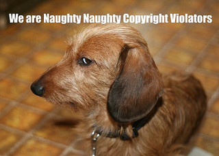 Banner saying "We are naughty naughty copyright violators"