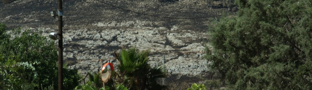 The Fire In Kibbutz Amiad