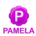 pamela call recorder